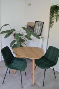 赞德沃特Studio 38的一张桌子和两张绿椅