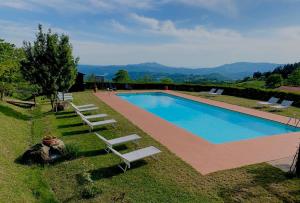 巴贝里诺·迪·穆杰罗Podere Belvedere的旁边设有一座带躺椅的大型游泳池