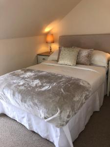 阿德罗森South Beach Apartment的一间卧室配有一张床铺,床上铺有银色毯子