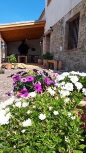佩雷拉达La Masia de Montpedrós的一座花园,在一座建筑前方,种有粉红色和白色的花朵
