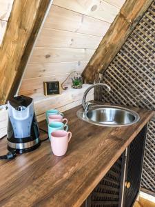 阿格洛纳Tuvāk dabai的一个小房子里一个带水槽的厨房台