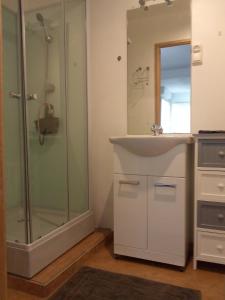Saint-Laurent-du-CrosLa Collinette的带淋浴、盥洗盆和镜子的浴室