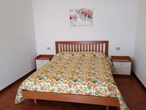 韦尔巴尼亚Villetta Primavera Suna Vista lago CIR10307200215的一张带五颜六色的被子和两张床头柜的床