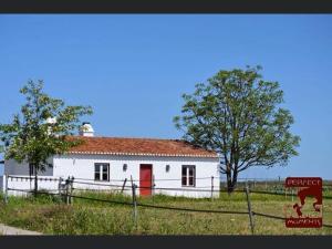 阿尔特杜尚Monte da Boavista - Country family house的白色的建筑,有红色的门和一棵树
