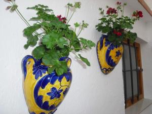 VilarrodonaCal Socías的两瓶花花挂在墙上