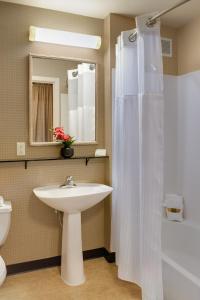 西雅图地中海旅馆的一间带水槽和淋浴帘的浴室