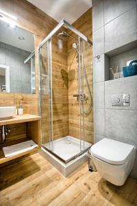 RogoźnikSzafir的带淋浴、卫生间和盥洗盆的浴室