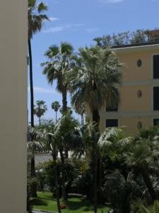 圣雷莫Casa Vacanze Helsinore的从棕榈树建筑的窗户欣赏美景