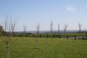 莫尔塔涅欧佩什Roulotte Poulette的围栏旁的一片田野里的一群树木