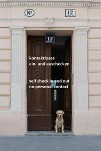 维也纳奥德维也纳公寓的狗坐在建筑物门口