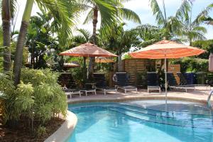 劳德代尔堡The Cabanas Guesthouse & Spa - Gay Resort catering to Gay Men的一个带两把遮阳伞和椅子的游泳池以及一个游泳池