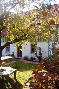 Sontheim客什菲生态旅馆的白色的房子,有野餐桌和一棵树