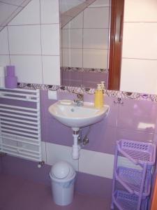 什奇特诺克斯西尼斯塔温旅馆的一间带水槽和镜子的浴室