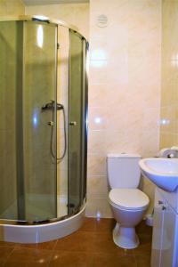 卢布林Willa Ostoja的带淋浴、卫生间和盥洗盆的浴室