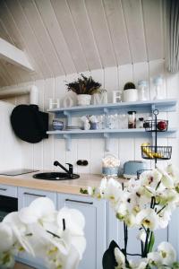 BigauņciemsRELAX PORT的厨房配有蓝色的架子和白色的鲜花