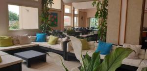 弗雷杰内科拉罗酒店的大堂配有沙发、桌子和植物