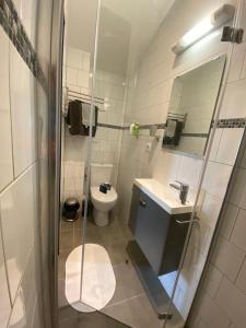 圣艾米隆尤拉兹旅馆 的一间带卫生间、水槽和镜子的浴室