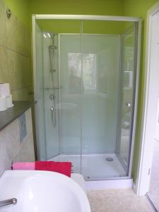 伊科德洛斯维诺斯Casa-Palo-Pique的浴室里设有玻璃门淋浴