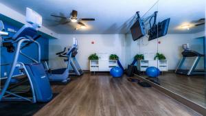欧塞奇比奇欧塞奇湾泳滩 - 奥沙克湖智选假日酒店的健身房,配有跑步机和健身器材