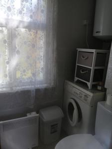 拉普梅茲采姆斯Searooms的一间带卫生间和窗户的小浴室