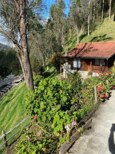 萨兰托Cabañas Valle del Cocora La Truchera的相册照片