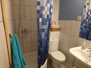 (( Strēli ))Līčupes的浴室配有卫生间、盥洗盆和淋浴。
