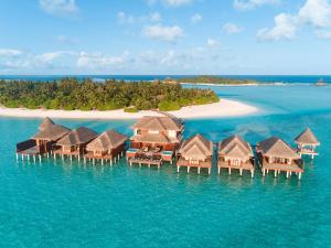 南马累环礁Anantara Dhigu Maldives Resort - Special Offer On Transfer Rates For Summer 2024的海洋度假胜地的空中景观