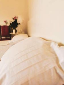 塔古玖菲力德博维斯特旅馆的一张带白色床单和室内植物的床