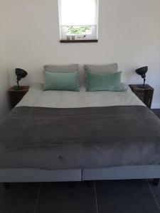 Zuid-BeijerlandGastenverblijf De Viking的一间卧室配有一张带绿色枕头的大床