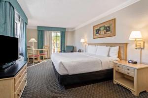 皮内拉斯公园坦帕湾皮内拉斯公园克利尔沃特拉金塔酒店的配有一张床和一台平面电视的酒店客房