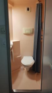 保拉扎克普瑞米尔佩里杰布拉扎克经典酒店的一间带卫生间和淋浴的小浴室