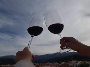 Jerez del MarquesadoHotel El Picón de Sierra Nevada的两个人拿着一杯红葡萄酒