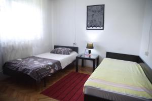比托拉Petrograd的一间卧室设有两张床和窗户。