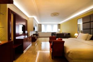 阿姆斯特丹沙塞酒店的酒店客房设有床和客厅。