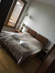 科沃布热格Olympic Park Apartament A403的一间卧室配有带两个枕头的床和窗户