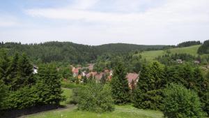 阿尔特瑙格吕克奥夫公寓的绿树成荫的山丘和远处的村庄
