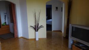 阿尔特瑙格吕克奥夫公寓的带有花瓶的客厅,里面装有植物