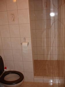 茵特斯托德斯多德公寓的一间带卫生间和淋浴的浴室