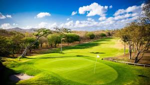 里瓦斯Eco Casita Phase I #10的绿色高尔夫球场的图象
