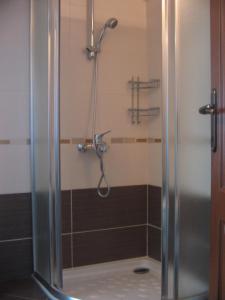 达利安Osmanli Hani Apart Hotel的浴室设有淋浴间。