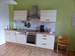 什未林Vis-a-vis-Berliner-Tor的一间厨房,配有白色家电和绿色墙壁