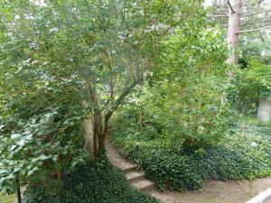 什未林Vis-a-vis-Berliner-Tor的花园中小树,有楼梯