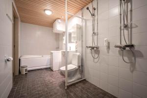 鲁卡Ski-Inn MastonAitio的带淋浴、卫生间和浴缸的浴室