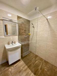 波切尼斯Dream apartman的一间带水槽和玻璃淋浴的浴室