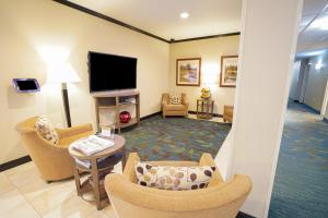 博伊西博伊西汤广场烛木套房酒店的客厅配有椅子和平面电视