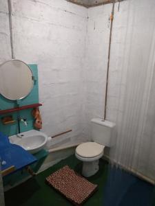 帕拉蒂Hostel Vista Verde的一间带卫生间、水槽和镜子的浴室
