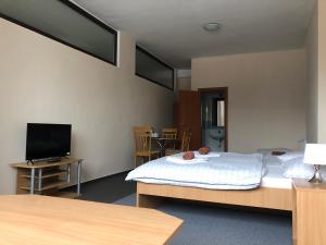 日利纳伯里克运动酒店的客房设有一张床和一台平面电视。