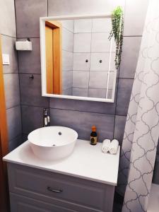 尼赖吉哈佐Lora Apartman的一间带水槽和镜子的浴室