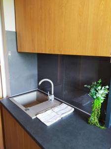 尼赖吉哈佐Lora Apartman的厨房水槽设有水龙头和两株植物