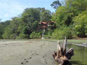 MorrilloMorrillo Beach Eco Resort的树在房子前面的沙子里 ⁇ 